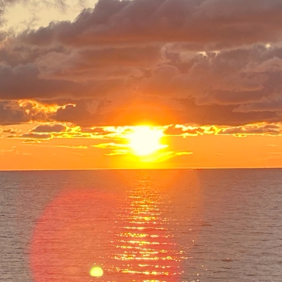 Meet your Posher, Julianne - Picture 1 of 1